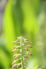 また来年に・・・・・