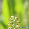また来年に・・・・・