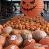 初秋の頃　ハロウィンの季節を先取り
