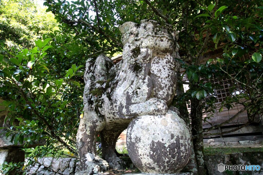 惣社八幡宮　拝殿前の狛犬（左側）