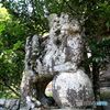 惣社八幡宮　拝殿前の狛犬（左側）