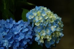 君にあえて