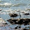 夏の記憶　７月　きらめきの中に
