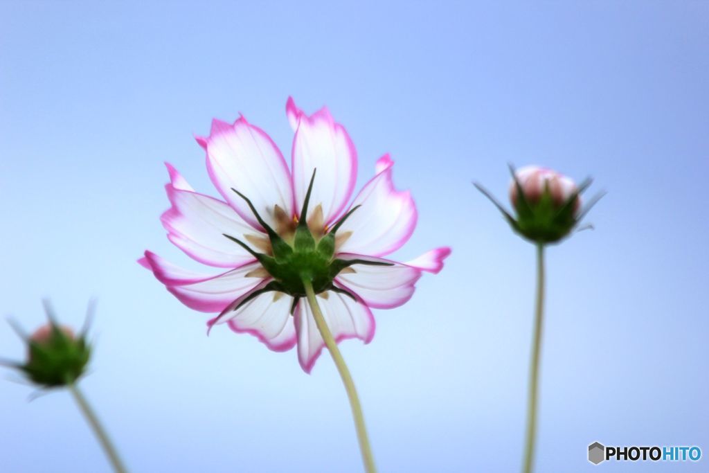 下から見るなんて・・・・。