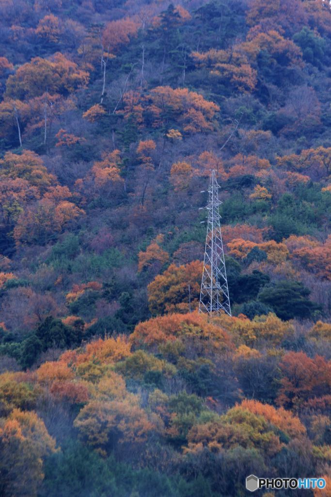 山裾の風景