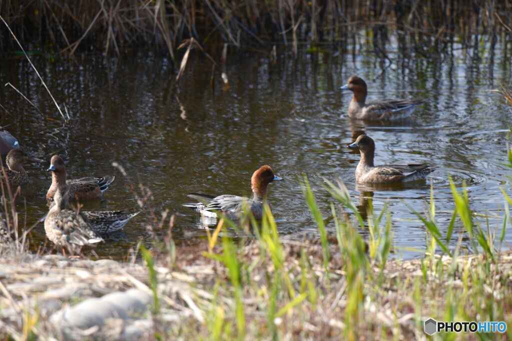 くつろぎの時間