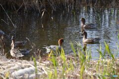くつろぎの時間