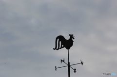 風見鶏