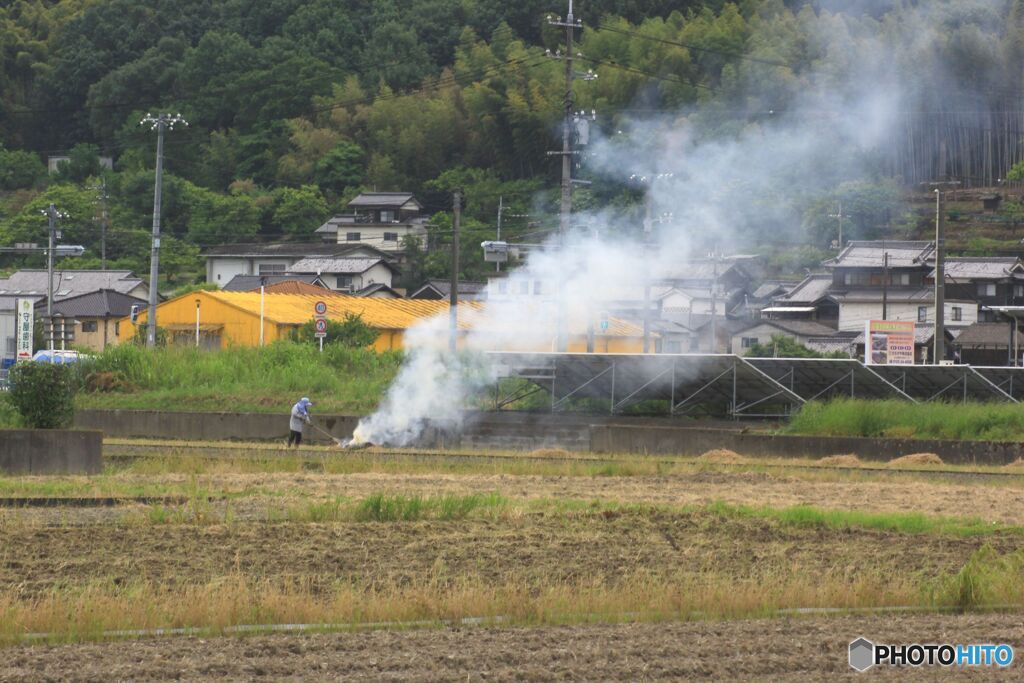野焼きの風景