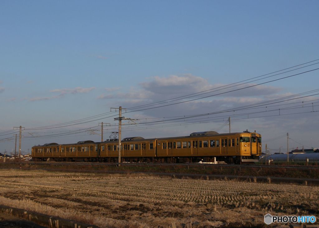 115系下り普通電車