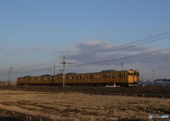 115系下り普通電車