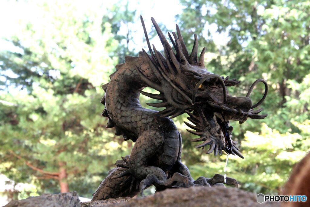 手水舎の龍