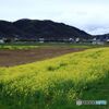 川原の春
