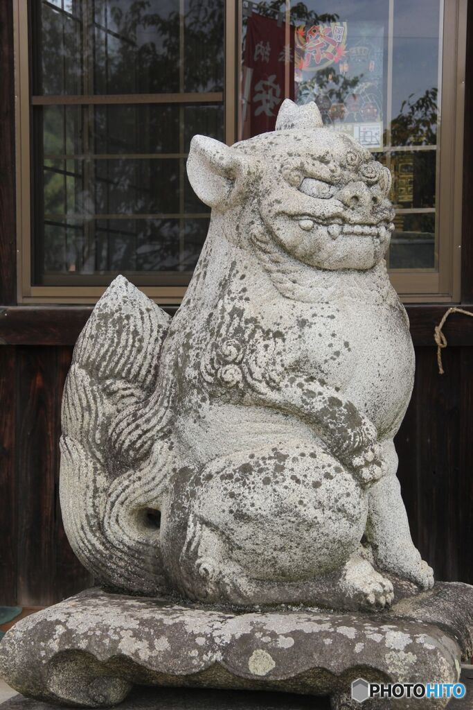 笠神社拝殿前の左狛犬