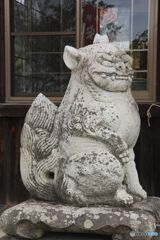 笠神社拝殿前の左狛犬