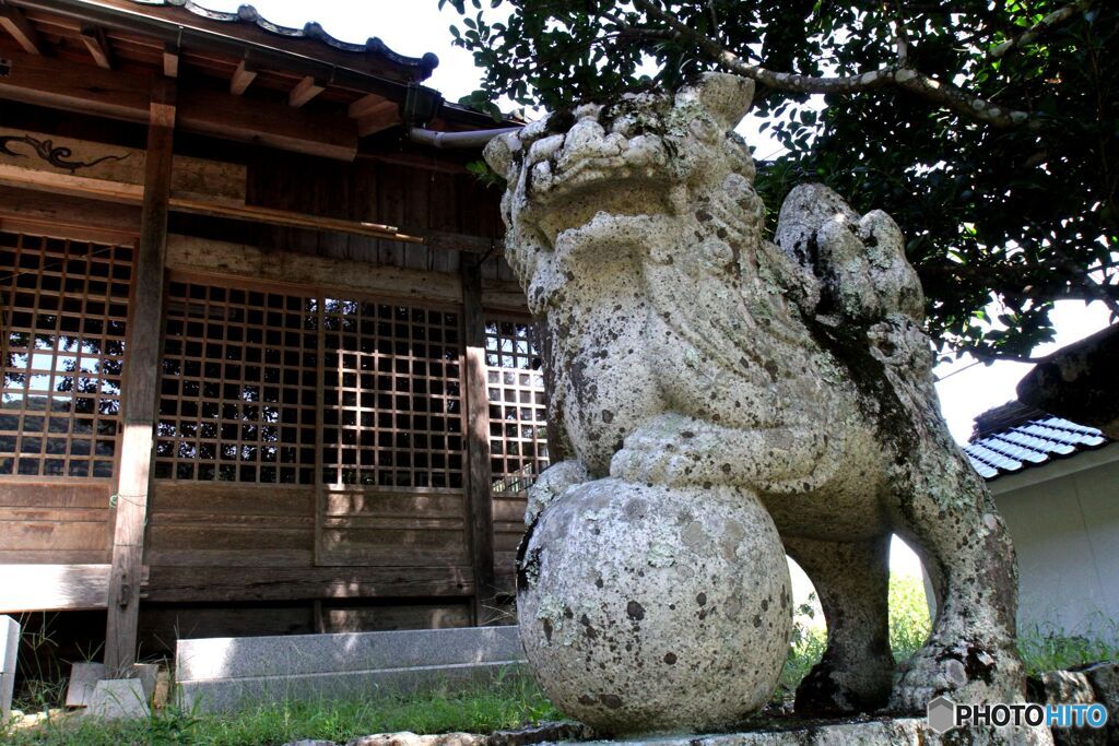 拝殿前の狛犬（右側）