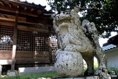 拝殿前の狛犬（右側）