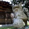 拝殿前の狛犬（右側）