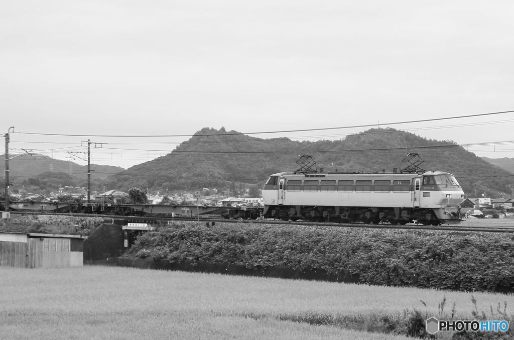 EF66牽引　貨物列車