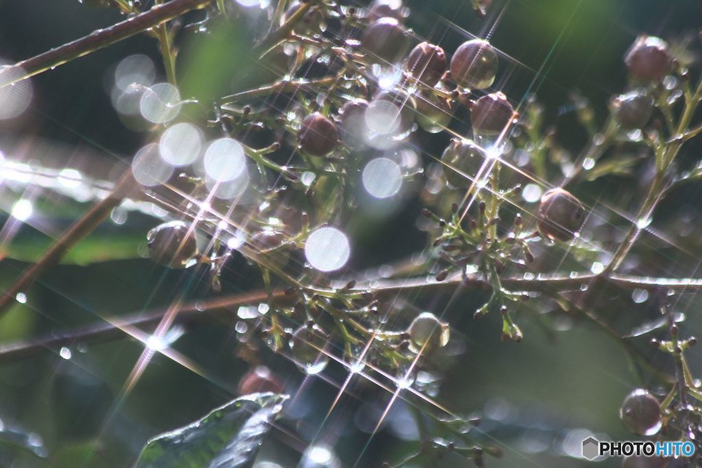 雨のあと陽がさして（１）