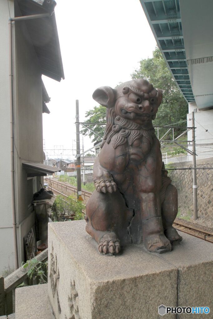 鳥居をくぐって左側の狛犬