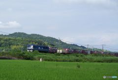 思っても見なかった出会い 思っても見なかった出会い