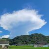 携帯の写真から　夏に見た雲