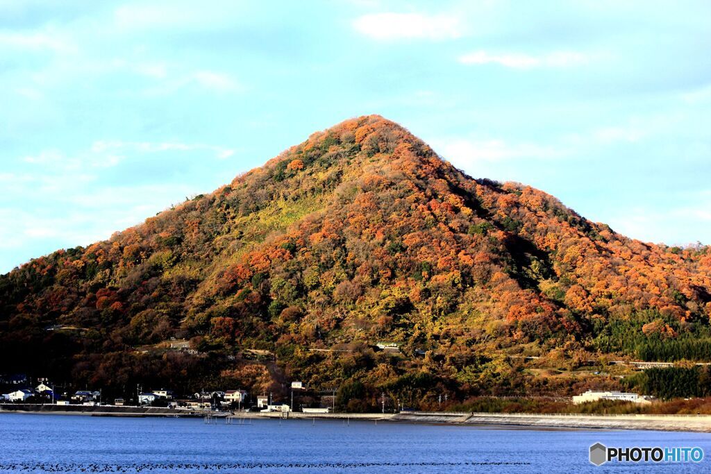 朝の光を受けて