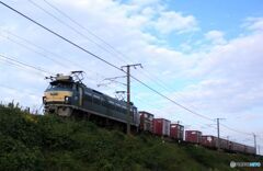 貨物列車　EF66-33