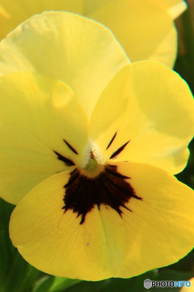 おじさん　怒ってる？　笑ってる？