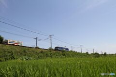 桃太郎が行く