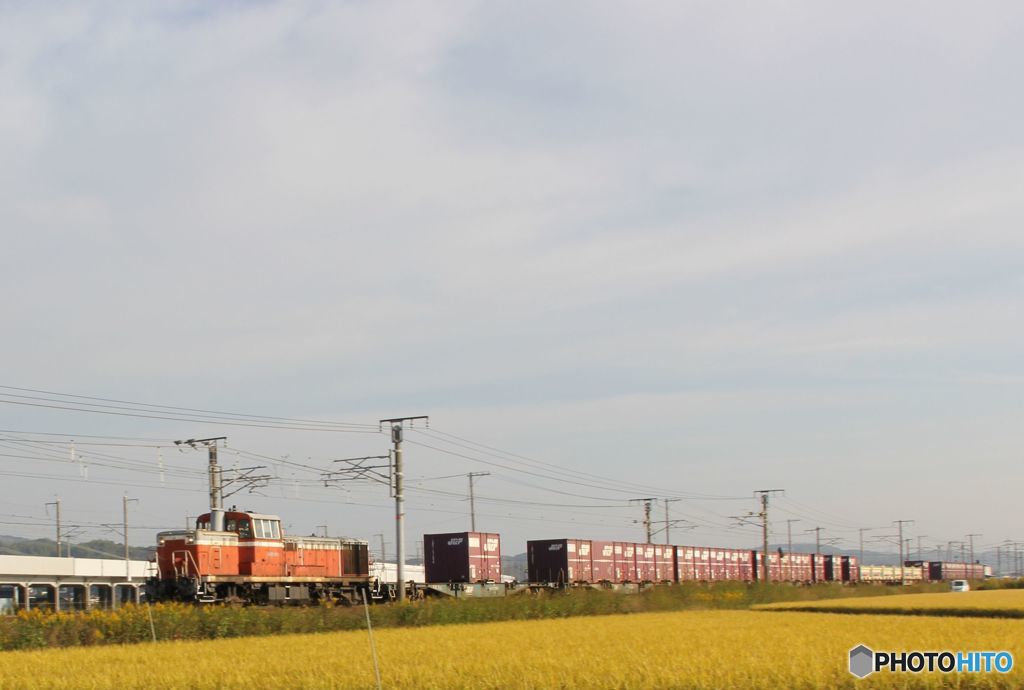 古い写真から　　実りの秋に