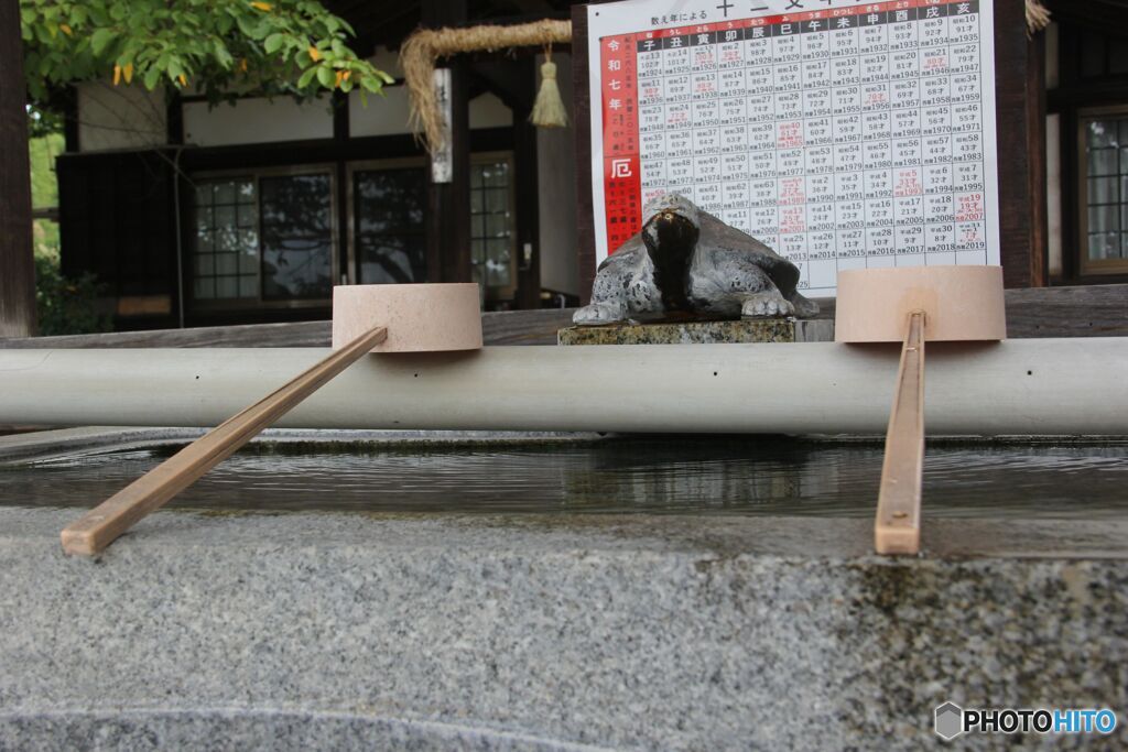 手水舎の水は亀の口から