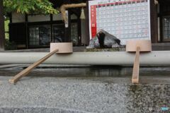 手水舎の水は亀の口から