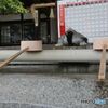 手水舎の水は亀の口から
