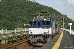 高架駅を通過するEF64-1024 高架駅を通過するEF64-1024