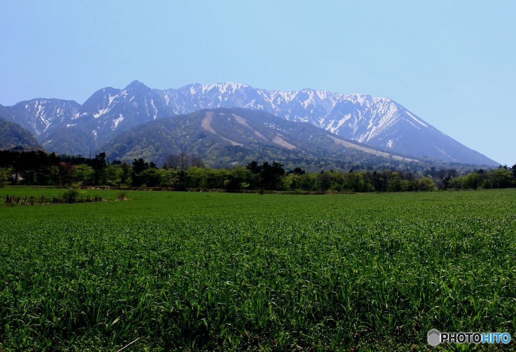 牧草地からの　大山北壁