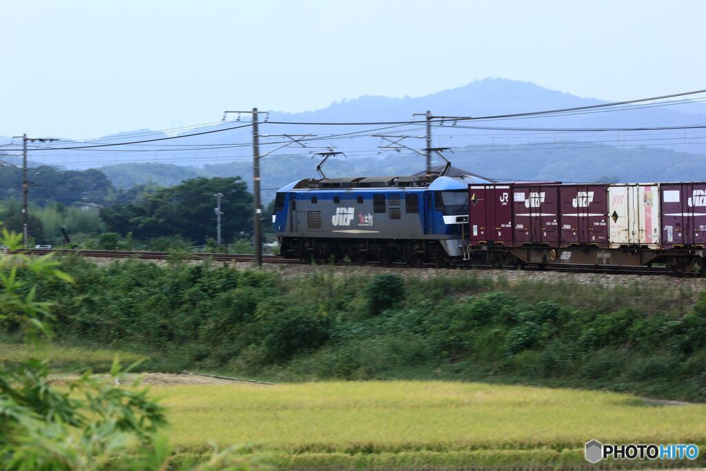 桃太郎が行く