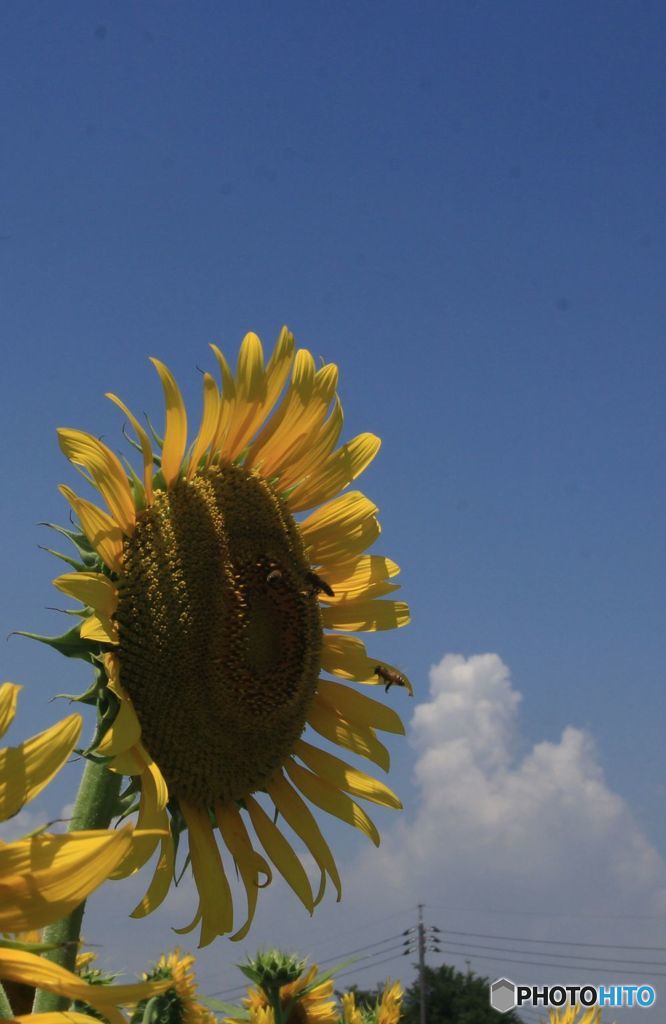 平成　最後の夏・１
