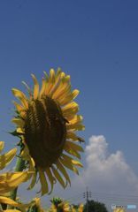 平成　最後の夏・１