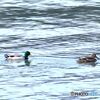 海に浮かぶ
