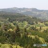 新緑の山