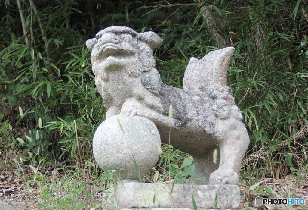 鳥居をくぐった後の右の狛犬