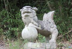 鳥居をくぐった後の右の狛犬