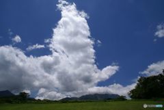 古い写真から　　沸き立つ夏雲