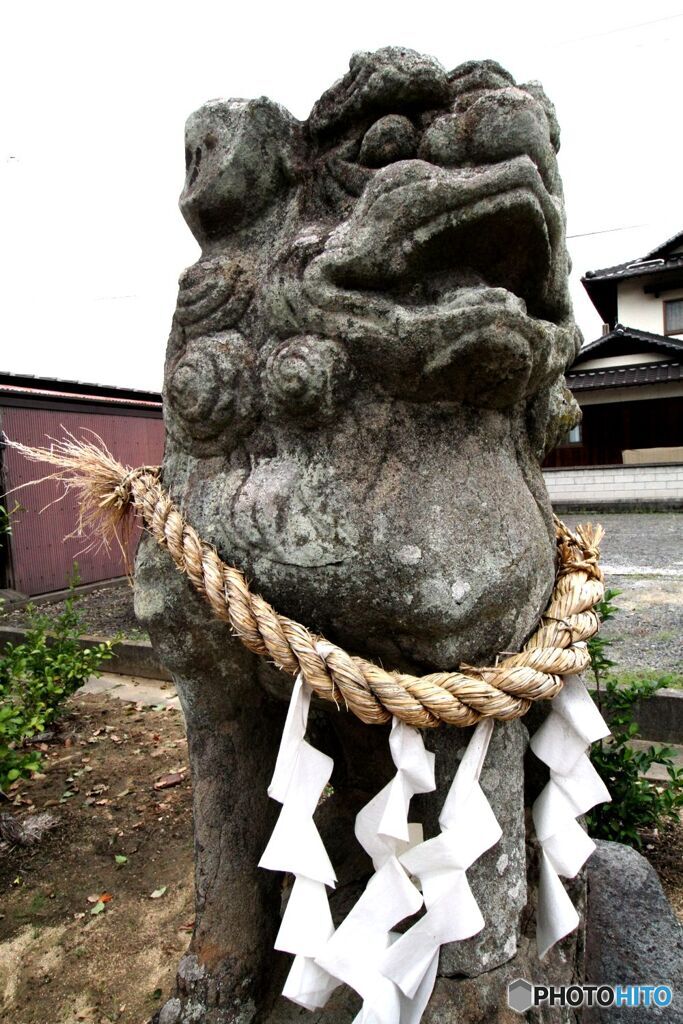 I御幣をまとう狛犬