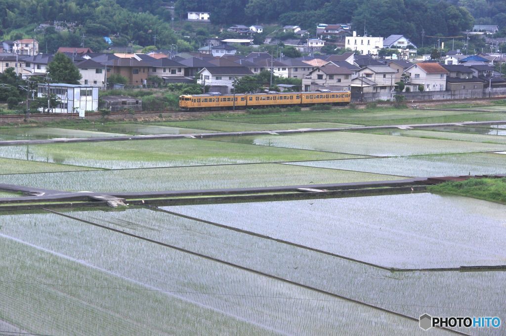 田園を行く