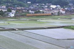 田園を行く