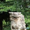 獅子を連想するる狛犬　（安倉八幡宮拝殿前右手の狛犬）