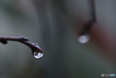 雨上がり.2